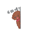 Small animals daily OuO（個別スタンプ：38）