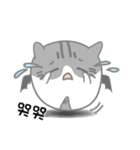 Little evil Meow（個別スタンプ：19）