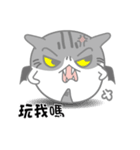 Little evil Meow（個別スタンプ：37）