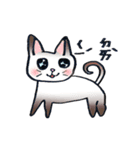 8歳の猫 リタ（個別スタンプ：15）