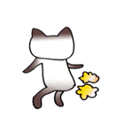 8歳の猫 リタ（個別スタンプ：34）