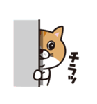 サラリーマンと猫（個別スタンプ：14）