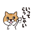 サラリーマンと猫（個別スタンプ：24）