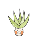 aloe vera boy（個別スタンプ：1）