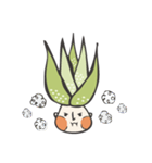 aloe vera boy（個別スタンプ：9）