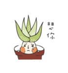 aloe vera boy（個別スタンプ：11）