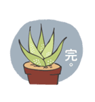 aloe vera boy（個別スタンプ：13）