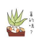 aloe vera boy（個別スタンプ：14）