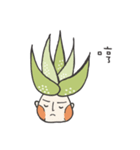 aloe vera boy（個別スタンプ：21）