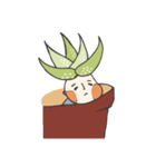 aloe vera boy（個別スタンプ：32）