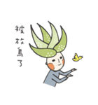 aloe vera boy（個別スタンプ：37）