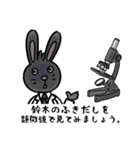 鈴木さんを煽る腹黒いウサギのスタンプ（個別スタンプ：30）