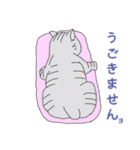キュート キャッツ（個別スタンプ：3）