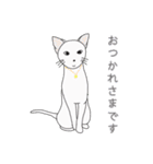 キュート キャッツ（個別スタンプ：5）