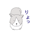 キュート キャッツ（個別スタンプ：11）