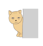 キュート キャッツ（個別スタンプ：14）