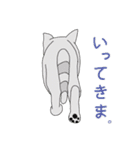 キュート キャッツ（個別スタンプ：40）
