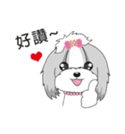 Shih Tzu Club（個別スタンプ：1）