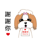 Shih Tzu Club（個別スタンプ：6）