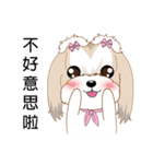 Shih Tzu Club（個別スタンプ：10）