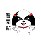 Shih Tzu Club（個別スタンプ：12）