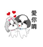 Shih Tzu Club（個別スタンプ：13）