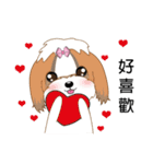 Shih Tzu Club（個別スタンプ：14）