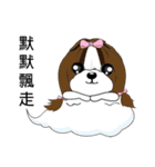 Shih Tzu Club（個別スタンプ：17）