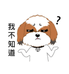 Shih Tzu Club（個別スタンプ：23）