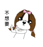 Shih Tzu Club（個別スタンプ：26）