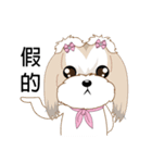 Shih Tzu Club（個別スタンプ：31）