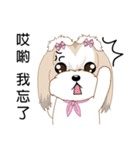 Shih Tzu Club（個別スタンプ：34）