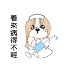 Shih Tzu Club（個別スタンプ：37）