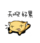 sugarycat（個別スタンプ：14）