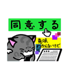 ねこがふわっと（個別スタンプ：5）