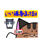 ねこがふわっと（個別スタンプ：36）