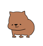 ゆるいウォンバット（個別スタンプ：1）