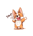 Gwen The Corgi（個別スタンプ：1）