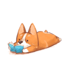 Gwen The Corgi（個別スタンプ：19）