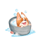 Gwen The Corgi（個別スタンプ：22）