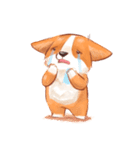 Gwen The Corgi（個別スタンプ：34）