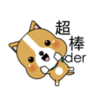 Prosperity Dog（個別スタンプ：1）