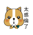 Prosperity Dog（個別スタンプ：2）