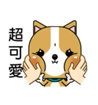 Prosperity Dog（個別スタンプ：4）