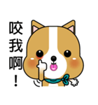 Prosperity Dog（個別スタンプ：11）