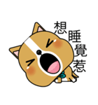 Prosperity Dog（個別スタンプ：13）