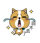 Prosperity Dog（個別スタンプ：18）