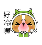 Prosperity Dog（個別スタンプ：29）