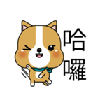 Prosperity Dog（個別スタンプ：31）