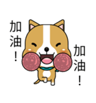 Prosperity Dog（個別スタンプ：36）